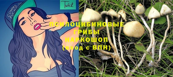 спиды Белокуриха