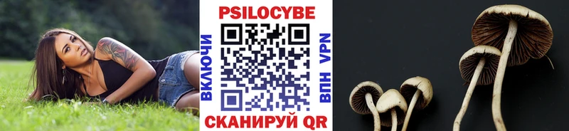 где продают наркотики  Сковородино  Псилоцибиновые грибы Cubensis 